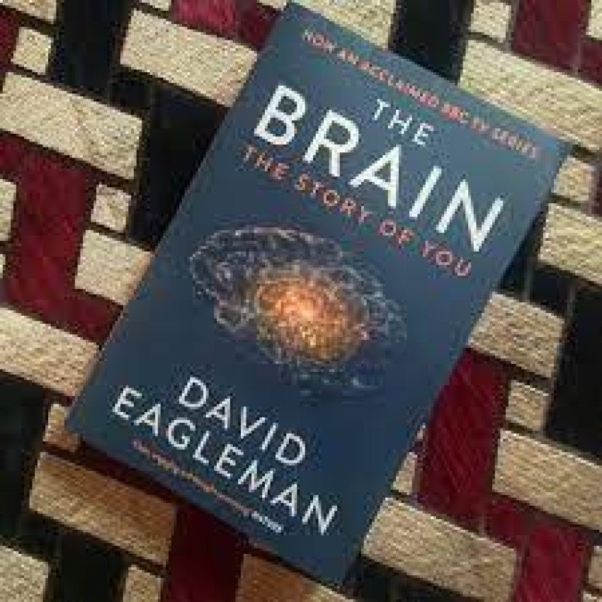 The Brain: The Story of You by David Eagleman – Pakistan The Brain: The Story of You by David Eagleman – Pakistan